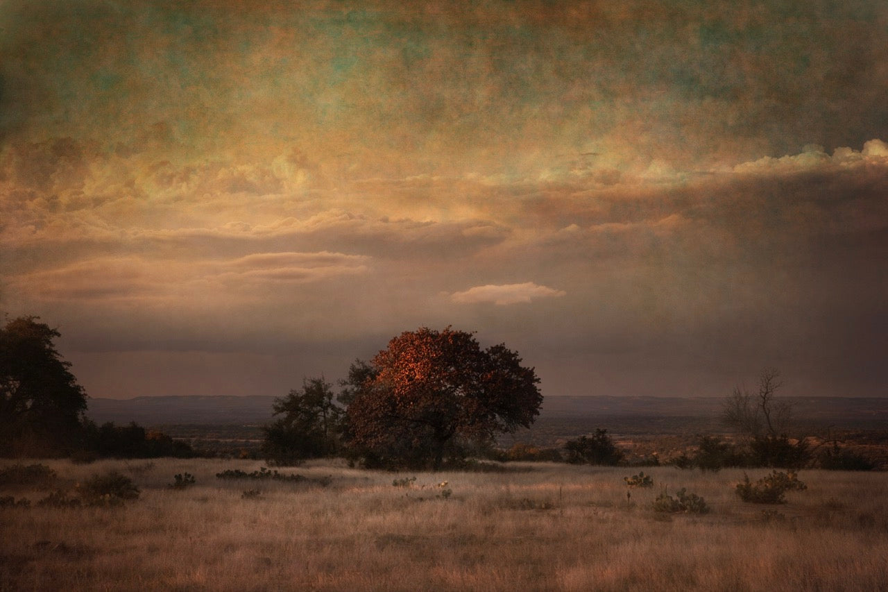 Schneider's Overlook